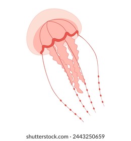 Cartoon Pink jellyfish flat style. Medusa vector illustration. Modern flat illustration Jellyfish isolated on white background. Vector illustration