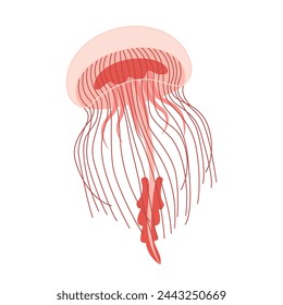 Cartoon Pink jellyfish flat style. Medusa vector illustration. Modern flat illustration Jellyfish isolated on white background. Vector illustration