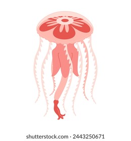 Cartoon Pink jellyfish flat style. Medusa vector illustration. Modern flat illustration Jellyfish isolated on white background. Vector illustration