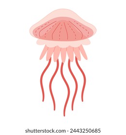 Cartoon Pink jellyfish flat style. Medusa vector illustration. Modern flat illustration Jellyfish isolated on white background. Vector illustration