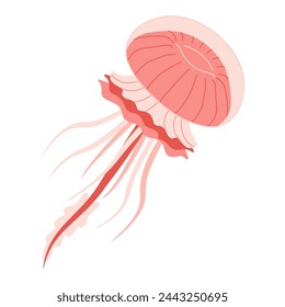 Cartoon Pink jellyfish flat style. Medusa vector illustration. Modern flat illustration Jellyfish isolated on white background. Vector illustration