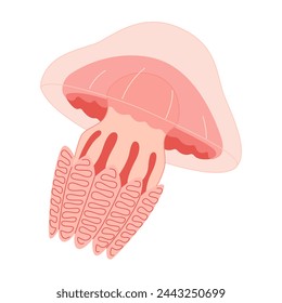 Cartoon Pink jellyfish flat style. Medusa vector illustration. Modern flat illustration Jellyfish isolated on white background. Vector illustration