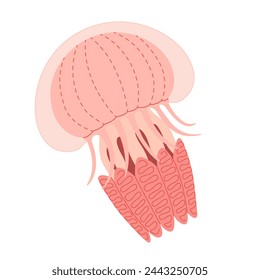 Cartoon Pink jellyfish flat style. Medusa vector illustration. Modern flat illustration Jellyfish isolated on white background. Vector illustration