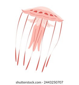 Cartoon Pink jellyfish flat style. Medusa vector illustration. Modern flat illustration Jellyfish isolated on white background. Vector illustration