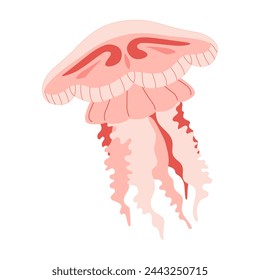 Cartoon Pink jellyfish flat style. Medusa vector illustration. Modern flat illustration Jellyfish isolated on white background. Vector illustration