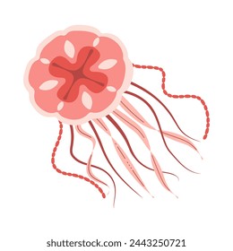 Cartoon Pink jellyfish flat style. Medusa vector illustration. Modern flat illustration Jellyfish isolated on white background. Vector illustration