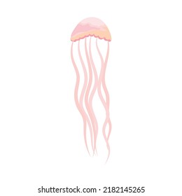 cartoon pink jellyfish on white background