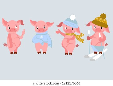 Cartoon pink pigs in a sweater, in a hats and on skis. flat illustration