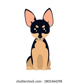 cartoon pinscher dog icon over white background, flat style, vector illustration