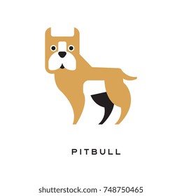 Cartoon pitbull character isolated on white