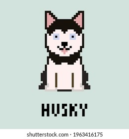 Cartoon pixel husky. Vector illustration of cute sitting dog in pixel style.