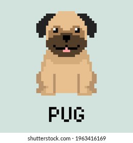 Cartoon pixel pug. Vector illustration of cute sitting dog in pixel style.