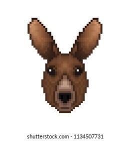 Cartoon pixelated Kangaroo icon. Pixel design. Vector illustration.