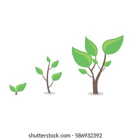 Cartoon plants growing
