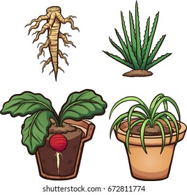 Cartoon plants, roots and flower pot. Vector clip art illustration with simple gradients. Some elements on separate layers.