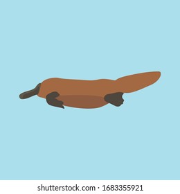 Cartoon platypus. Cute Cartoon platypus, Vector illustration on a blue background. Drawing for children.