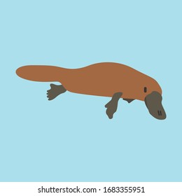 Cartoon platypus. Cute Cartoon platypus, Vector illustration on a blue background. Drawing for children.