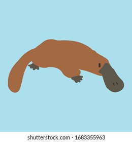 Cartoon platypus. Cute Cartoon platypus, Vector illustration on a blue background. Drawing for children.