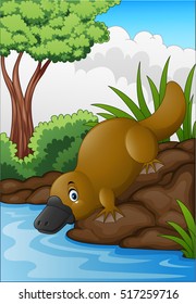 Cartoon platypus in forest creek 