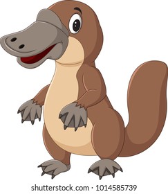 Cartoon platypus isolated on white background