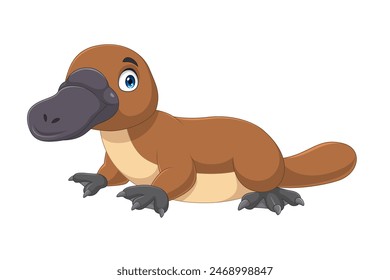 Cartoon platypus isolated on white background
