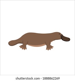 Cartoon platypus on a white background.Flat cartoon illustration for kids.