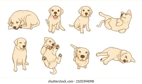 Cartoon Playful Labrador Retriever Dog ,puppy Illustration Collection