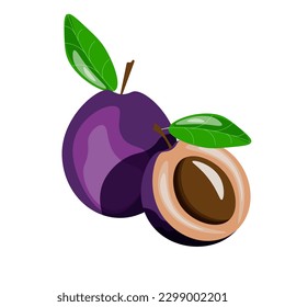 Cartoon Plum. Prune Slice vector illustration. Summer Fruit isolated on transparent background.