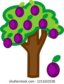 Cartoon plum tree with ripe plums and green crown isolated on white background