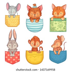 Cartoon pocket animals. Cute dog, funny cat and bunny. Monkey, mouse and rat animal in pockets. Pocketful puppy and kitty pet character shirt cloth print. Isolated vector illustration icons set svg