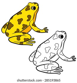 Cartoon of Poison-Dart Frog. Coloring page. Vector