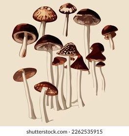 Cartoon poisonous mushrooms. Vector illustration, print for background, print on fabric, paper, wallpaper, packaging.	