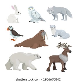 Cartoon polar and arctic animals. Snowy hear, owl, wolf, puffin, walrus, ermine, polar bear and reindeer. Educational vector illustrations collection.