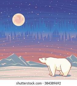 Cartoon polar bear and northern lights on a starry night sky. Vector arctic illustration.