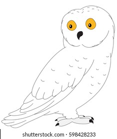 Cartoon polar owl for babies and little kids. Picture isolated on white background