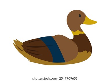 Pájaro de estanque de dibujos animados, pato. Pato lindo con la cabeza marrón. Ilustración vectorial aislada sobre fondo blanco