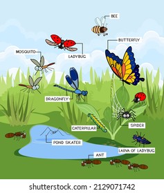 Cartoon pond landscape with many species of insects living near the water isolated on white background