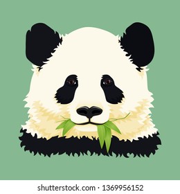 Cartoon portrait. Cute giant panda chewing green bamboo leaves. Vector. Black and white asian bear. Print, mask, poster design.