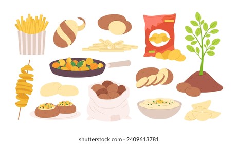 Cartoon potato raw. Potatoes products and meals, fries and chips, baked in oven and mash. Vegetable growth through ground, racy vector elements