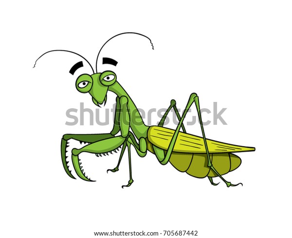 Cartoon Praying Mantis เวกเตอร์สต็อก (ปลอดค่าลิขสิทธิ์) 705687442