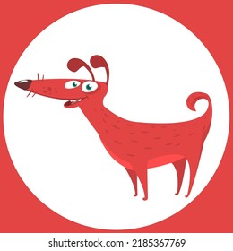 Cartoon pretty afghan dog. Vector illustration