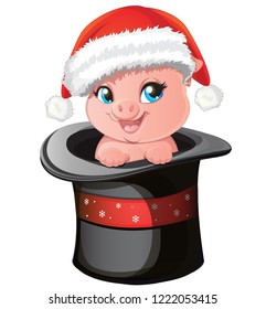 cartoon pretty pig in the hat