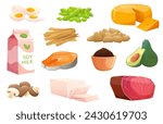 Cartoon protein sources. Vegetable products. Organic farm food. Soy sauce and miso. Fresh mushroom. Natural ingredients. Meat or fish. Tofu cheese. Eggs and avocado