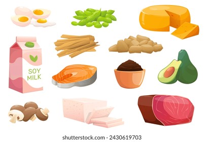 Cartoon protein sources. Vegetable products. Organic farm food. Soy sauce and miso. Fresh mushroom. Natural ingredients. Meat or fish. Tofu cheese. Eggs and avocado