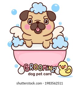 Cartoon Pug bath vector Dog groomer for Pet grooming logo with duck toy: Series Kawaii animal puppy character. Isolated on white background (girly doodle) mammal Illustration.Perfect Nursery children.