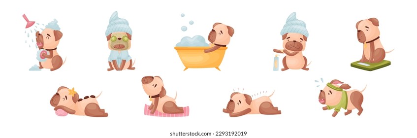 Cartoon Pug Dog Character Doing Spa and Hygiene Procedures Vector Set