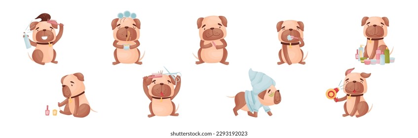 Caricatura de perro pug perro Doing Spa y procedimientos de higiene conjunto de vectores