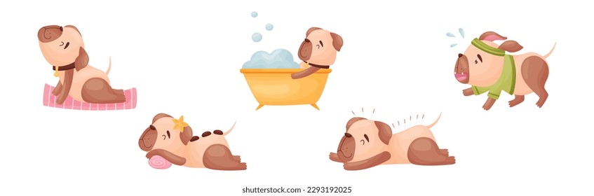 Cartoon Pug Dog Character Doing Spa and Hygiene Procedures Vector Set