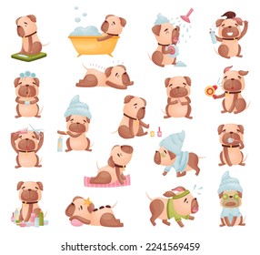 Cartoon Pug Dog Character Grooming Doing Spa Procedures Big Vector Set