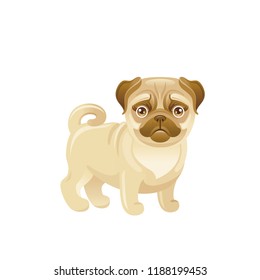 Cartoon pug dog icon. Cute pet puppy vector illustration isolated on white background. Flat symbol for logo, design,animal concept.